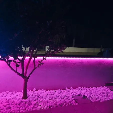 Harmonia * פאראלימני