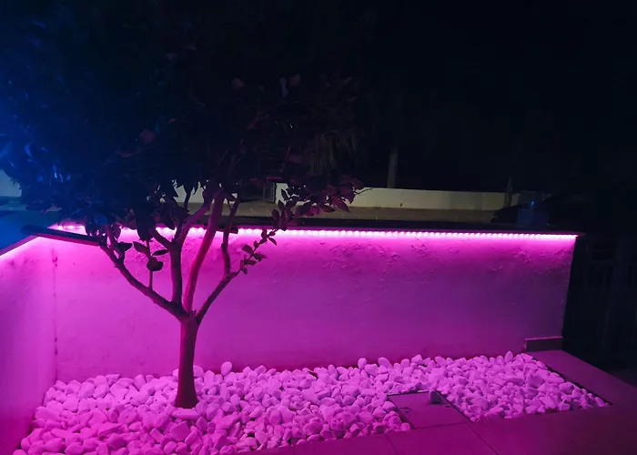 Harmonia * פאראלימני